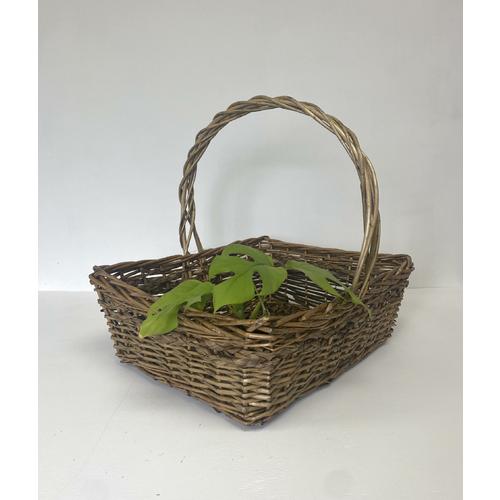 image of Rectangle willow basket - Seagrass